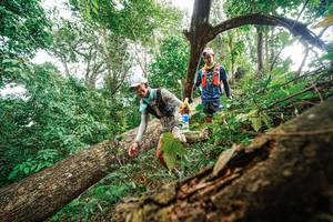 BIB: 
                            <button type="button" onclick="openModal(22779249)" class="btn btn-primary btn-sm float-right btn-popup" data-toggle="modal" data-target=".modal-high-quality">
                        <i class="fas fa-shopping-cart"></i> Add to Cart
                    </button>
                                            <button type="button" onclick="isThisMe(22779249, true)" class="btn btn-success btn-sm float-right btn-popup btn-isme hidden" data-toggle="tooltip" data-placement="bottom" title="นี่คือรูปของคุณใช่ไหม คลิกที่นี่เพื่อเอาเข้าอัลบั้ม">
                        <i class="fas fa-plus"></i> Add to album
                    </button>
                    <button type="button" onclick="isThisMe(22779249, false)" class="btn btn-warning btn-sm float-right btn-popup btn-isnotme hidden">
                        <i class="fas fa-ban"></i> Remove from album
                    </button>