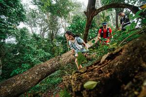 BIB: 
                            <button type="button" onclick="openModal(22779019)" class="btn btn-primary btn-sm float-right btn-popup" data-toggle="modal" data-target=".modal-high-quality">
                        <i class="fas fa-shopping-cart"></i> Add to Cart
                    </button>
                                            <button type="button" onclick="isThisMe(22779019, true)" class="btn btn-success btn-sm float-right btn-popup btn-isme hidden" data-toggle="tooltip" data-placement="bottom" title="นี่คือรูปของคุณใช่ไหม คลิกที่นี่เพื่อเอาเข้าอัลบั้ม">
                        <i class="fas fa-plus"></i> Add to album
                    </button>
                    <button type="button" onclick="isThisMe(22779019, false)" class="btn btn-warning btn-sm float-right btn-popup btn-isnotme hidden">
                        <i class="fas fa-ban"></i> Remove from album
                    </button>