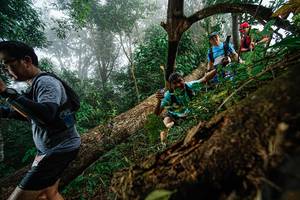 BIB: 
                            <button type="button" onclick="openModal(22779147)" class="btn btn-primary btn-sm float-right btn-popup" data-toggle="modal" data-target=".modal-high-quality">
                        <i class="fas fa-shopping-cart"></i> Add to Cart
                    </button>
                                            <button type="button" onclick="isThisMe(22779147, true)" class="btn btn-success btn-sm float-right btn-popup btn-isme hidden" data-toggle="tooltip" data-placement="bottom" title="นี่คือรูปของคุณใช่ไหม คลิกที่นี่เพื่อเอาเข้าอัลบั้ม">
                        <i class="fas fa-plus"></i> Add to album
                    </button>
                    <button type="button" onclick="isThisMe(22779147, false)" class="btn btn-warning btn-sm float-right btn-popup btn-isnotme hidden">
                        <i class="fas fa-ban"></i> Remove from album
                    </button>