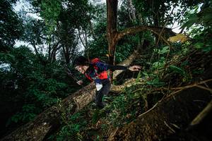 BIB: 
                            <button type="button" onclick="openModal(22775713)" class="btn btn-primary btn-sm float-right btn-popup" data-toggle="modal" data-target=".modal-high-quality">
                        <i class="fas fa-shopping-cart"></i> Add to Cart
                    </button>
                                            <button type="button" onclick="isThisMe(22775713, true)" class="btn btn-success btn-sm float-right btn-popup btn-isme hidden" data-toggle="tooltip" data-placement="bottom" title="นี่คือรูปของคุณใช่ไหม คลิกที่นี่เพื่อเอาเข้าอัลบั้ม">
                        <i class="fas fa-plus"></i> Add to album
                    </button>
                    <button type="button" onclick="isThisMe(22775713, false)" class="btn btn-warning btn-sm float-right btn-popup btn-isnotme hidden">
                        <i class="fas fa-ban"></i> Remove from album
                    </button>