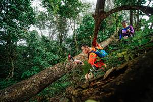 BIB: 
                            <button type="button" onclick="openModal(22779071)" class="btn btn-primary btn-sm float-right btn-popup" data-toggle="modal" data-target=".modal-high-quality">
                        <i class="fas fa-shopping-cart"></i> Add to Cart
                    </button>
                                            <button type="button" onclick="isThisMe(22779071, true)" class="btn btn-success btn-sm float-right btn-popup btn-isme hidden" data-toggle="tooltip" data-placement="bottom" title="นี่คือรูปของคุณใช่ไหม คลิกที่นี่เพื่อเอาเข้าอัลบั้ม">
                        <i class="fas fa-plus"></i> Add to album
                    </button>
                    <button type="button" onclick="isThisMe(22779071, false)" class="btn btn-warning btn-sm float-right btn-popup btn-isnotme hidden">
                        <i class="fas fa-ban"></i> Remove from album
                    </button>