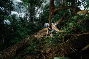 BIB: 
                            <button type="button" onclick="openModal(22775719)" class="btn btn-primary btn-sm float-right btn-popup" data-toggle="modal" data-target=".modal-high-quality">
                        <i class="fas fa-shopping-cart"></i> Add to Cart
                    </button>
                                            <button type="button" onclick="isThisMe(22775719, true)" class="btn btn-success btn-sm float-right btn-popup btn-isme hidden" data-toggle="tooltip" data-placement="bottom" title="นี่คือรูปของคุณใช่ไหม คลิกที่นี่เพื่อเอาเข้าอัลบั้ม">
                        <i class="fas fa-plus"></i> Add to album
                    </button>
                    <button type="button" onclick="isThisMe(22775719, false)" class="btn btn-warning btn-sm float-right btn-popup btn-isnotme hidden">
                        <i class="fas fa-ban"></i> Remove from album
                    </button>