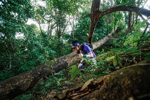 BIB: 
                            <button type="button" onclick="openModal(22778565)" class="btn btn-primary btn-sm float-right btn-popup" data-toggle="modal" data-target=".modal-high-quality">
                        <i class="fas fa-shopping-cart"></i> Add to Cart
                    </button>
                                            <button type="button" onclick="isThisMe(22778565, true)" class="btn btn-success btn-sm float-right btn-popup btn-isme hidden" data-toggle="tooltip" data-placement="bottom" title="นี่คือรูปของคุณใช่ไหม คลิกที่นี่เพื่อเอาเข้าอัลบั้ม">
                        <i class="fas fa-plus"></i> Add to album
                    </button>
                    <button type="button" onclick="isThisMe(22778565, false)" class="btn btn-warning btn-sm float-right btn-popup btn-isnotme hidden">
                        <i class="fas fa-ban"></i> Remove from album
                    </button>