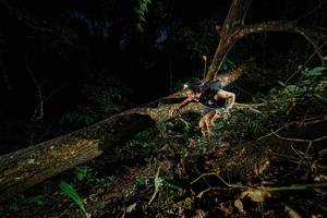 BIB: 
                            <button type="button" onclick="openModal(22774361)" class="btn btn-primary btn-sm float-right btn-popup" data-toggle="modal" data-target=".modal-high-quality">
                        <i class="fas fa-shopping-cart"></i> Add to Cart
                    </button>
                                            <button type="button" onclick="isThisMe(22774361, true)" class="btn btn-success btn-sm float-right btn-popup btn-isme hidden" data-toggle="tooltip" data-placement="bottom" title="นี่คือรูปของคุณใช่ไหม คลิกที่นี่เพื่อเอาเข้าอัลบั้ม">
                        <i class="fas fa-plus"></i> Add to album
                    </button>
                    <button type="button" onclick="isThisMe(22774361, false)" class="btn btn-warning btn-sm float-right btn-popup btn-isnotme hidden">
                        <i class="fas fa-ban"></i> Remove from album
                    </button>