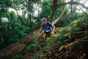 BIB: 
                            <button type="button" onclick="openModal(22777603)" class="btn btn-primary btn-sm float-right btn-popup" data-toggle="modal" data-target=".modal-high-quality">
                        <i class="fas fa-shopping-cart"></i> Add to Cart
                    </button>
                                            <button type="button" onclick="isThisMe(22777603, true)" class="btn btn-success btn-sm float-right btn-popup btn-isme hidden" data-toggle="tooltip" data-placement="bottom" title="นี่คือรูปของคุณใช่ไหม คลิกที่นี่เพื่อเอาเข้าอัลบั้ม">
                        <i class="fas fa-plus"></i> Add to album
                    </button>
                    <button type="button" onclick="isThisMe(22777603, false)" class="btn btn-warning btn-sm float-right btn-popup btn-isnotme hidden">
                        <i class="fas fa-ban"></i> Remove from album
                    </button>