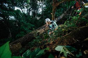 BIB: 
                            <button type="button" onclick="openModal(22775524)" class="btn btn-primary btn-sm float-right btn-popup" data-toggle="modal" data-target=".modal-high-quality">
                        <i class="fas fa-shopping-cart"></i> Add to Cart
                    </button>
                                            <button type="button" onclick="isThisMe(22775524, true)" class="btn btn-success btn-sm float-right btn-popup btn-isme hidden" data-toggle="tooltip" data-placement="bottom" title="นี่คือรูปของคุณใช่ไหม คลิกที่นี่เพื่อเอาเข้าอัลบั้ม">
                        <i class="fas fa-plus"></i> Add to album
                    </button>
                    <button type="button" onclick="isThisMe(22775524, false)" class="btn btn-warning btn-sm float-right btn-popup btn-isnotme hidden">
                        <i class="fas fa-ban"></i> Remove from album
                    </button>