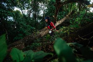 BIB: 
                            <button type="button" onclick="openModal(22777312)" class="btn btn-primary btn-sm float-right btn-popup" data-toggle="modal" data-target=".modal-high-quality">
                        <i class="fas fa-shopping-cart"></i> Add to Cart
                    </button>
                                            <button type="button" onclick="isThisMe(22777312, true)" class="btn btn-success btn-sm float-right btn-popup btn-isme hidden" data-toggle="tooltip" data-placement="bottom" title="นี่คือรูปของคุณใช่ไหม คลิกที่นี่เพื่อเอาเข้าอัลบั้ม">
                        <i class="fas fa-plus"></i> Add to album
                    </button>
                    <button type="button" onclick="isThisMe(22777312, false)" class="btn btn-warning btn-sm float-right btn-popup btn-isnotme hidden">
                        <i class="fas fa-ban"></i> Remove from album
                    </button>