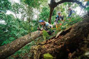 BIB: 
                            <button type="button" onclick="openModal(22779271)" class="btn btn-primary btn-sm float-right btn-popup" data-toggle="modal" data-target=".modal-high-quality">
                        <i class="fas fa-shopping-cart"></i> Add to Cart
                    </button>
                                            <button type="button" onclick="isThisMe(22779271, true)" class="btn btn-success btn-sm float-right btn-popup btn-isme hidden" data-toggle="tooltip" data-placement="bottom" title="นี่คือรูปของคุณใช่ไหม คลิกที่นี่เพื่อเอาเข้าอัลบั้ม">
                        <i class="fas fa-plus"></i> Add to album
                    </button>
                    <button type="button" onclick="isThisMe(22779271, false)" class="btn btn-warning btn-sm float-right btn-popup btn-isnotme hidden">
                        <i class="fas fa-ban"></i> Remove from album
                    </button>