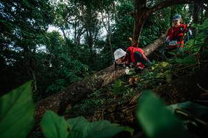 BIB: 
                            <button type="button" onclick="openModal(22777374)" class="btn btn-primary btn-sm float-right btn-popup" data-toggle="modal" data-target=".modal-high-quality">
                        <i class="fas fa-shopping-cart"></i> Add to Cart
                    </button>
                                            <button type="button" onclick="isThisMe(22777374, true)" class="btn btn-success btn-sm float-right btn-popup btn-isme hidden" data-toggle="tooltip" data-placement="bottom" title="นี่คือรูปของคุณใช่ไหม คลิกที่นี่เพื่อเอาเข้าอัลบั้ม">
                        <i class="fas fa-plus"></i> Add to album
                    </button>
                    <button type="button" onclick="isThisMe(22777374, false)" class="btn btn-warning btn-sm float-right btn-popup btn-isnotme hidden">
                        <i class="fas fa-ban"></i> Remove from album
                    </button>