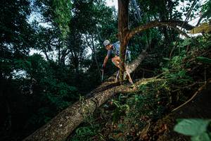 BIB: 
                            <button type="button" onclick="openModal(22775194)" class="btn btn-primary btn-sm float-right btn-popup" data-toggle="modal" data-target=".modal-high-quality">
                        <i class="fas fa-shopping-cart"></i> Add to Cart
                    </button>
                                            <button type="button" onclick="isThisMe(22775194, true)" class="btn btn-success btn-sm float-right btn-popup btn-isme hidden" data-toggle="tooltip" data-placement="bottom" title="นี่คือรูปของคุณใช่ไหม คลิกที่นี่เพื่อเอาเข้าอัลบั้ม">
                        <i class="fas fa-plus"></i> Add to album
                    </button>
                    <button type="button" onclick="isThisMe(22775194, false)" class="btn btn-warning btn-sm float-right btn-popup btn-isnotme hidden">
                        <i class="fas fa-ban"></i> Remove from album
                    </button>