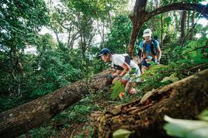 BIB: 
                            <button type="button" onclick="openModal(22777935)" class="btn btn-primary btn-sm float-right btn-popup" data-toggle="modal" data-target=".modal-high-quality">
                        <i class="fas fa-shopping-cart"></i> Add to Cart
                    </button>
                                            <button type="button" onclick="isThisMe(22777935, true)" class="btn btn-success btn-sm float-right btn-popup btn-isme hidden" data-toggle="tooltip" data-placement="bottom" title="นี่คือรูปของคุณใช่ไหม คลิกที่นี่เพื่อเอาเข้าอัลบั้ม">
                        <i class="fas fa-plus"></i> Add to album
                    </button>
                    <button type="button" onclick="isThisMe(22777935, false)" class="btn btn-warning btn-sm float-right btn-popup btn-isnotme hidden">
                        <i class="fas fa-ban"></i> Remove from album
                    </button>