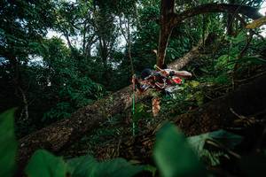 BIB: 
                            <button type="button" onclick="openModal(22777338)" class="btn btn-primary btn-sm float-right btn-popup" data-toggle="modal" data-target=".modal-high-quality">
                        <i class="fas fa-shopping-cart"></i> Add to Cart
                    </button>
                                            <button type="button" onclick="isThisMe(22777338, true)" class="btn btn-success btn-sm float-right btn-popup btn-isme hidden" data-toggle="tooltip" data-placement="bottom" title="นี่คือรูปของคุณใช่ไหม คลิกที่นี่เพื่อเอาเข้าอัลบั้ม">
                        <i class="fas fa-plus"></i> Add to album
                    </button>
                    <button type="button" onclick="isThisMe(22777338, false)" class="btn btn-warning btn-sm float-right btn-popup btn-isnotme hidden">
                        <i class="fas fa-ban"></i> Remove from album
                    </button>