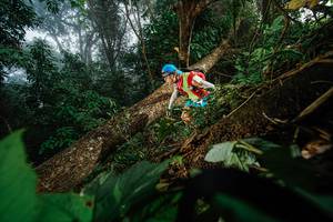 BIB: 
                            <button type="button" onclick="openModal(22776769)" class="btn btn-primary btn-sm float-right btn-popup" data-toggle="modal" data-target=".modal-high-quality">
                        <i class="fas fa-shopping-cart"></i> Add to Cart
                    </button>
                                            <button type="button" onclick="isThisMe(22776769, true)" class="btn btn-success btn-sm float-right btn-popup btn-isme hidden" data-toggle="tooltip" data-placement="bottom" title="นี่คือรูปของคุณใช่ไหม คลิกที่นี่เพื่อเอาเข้าอัลบั้ม">
                        <i class="fas fa-plus"></i> Add to album
                    </button>
                    <button type="button" onclick="isThisMe(22776769, false)" class="btn btn-warning btn-sm float-right btn-popup btn-isnotme hidden">
                        <i class="fas fa-ban"></i> Remove from album
                    </button>