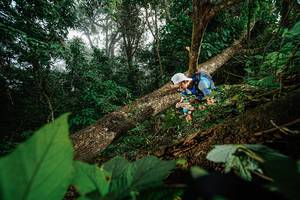 BIB: 
                            <button type="button" onclick="openModal(22776821)" class="btn btn-primary btn-sm float-right btn-popup" data-toggle="modal" data-target=".modal-high-quality">
                        <i class="fas fa-shopping-cart"></i> Add to Cart
                    </button>
                                            <button type="button" onclick="isThisMe(22776821, true)" class="btn btn-success btn-sm float-right btn-popup btn-isme hidden" data-toggle="tooltip" data-placement="bottom" title="นี่คือรูปของคุณใช่ไหม คลิกที่นี่เพื่อเอาเข้าอัลบั้ม">
                        <i class="fas fa-plus"></i> Add to album
                    </button>
                    <button type="button" onclick="isThisMe(22776821, false)" class="btn btn-warning btn-sm float-right btn-popup btn-isnotme hidden">
                        <i class="fas fa-ban"></i> Remove from album
                    </button>