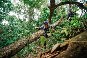 BIB: 
                            <button type="button" onclick="openModal(22779215)" class="btn btn-primary btn-sm float-right btn-popup" data-toggle="modal" data-target=".modal-high-quality">
                        <i class="fas fa-shopping-cart"></i> Add to Cart
                    </button>
                                            <button type="button" onclick="isThisMe(22779215, true)" class="btn btn-success btn-sm float-right btn-popup btn-isme hidden" data-toggle="tooltip" data-placement="bottom" title="นี่คือรูปของคุณใช่ไหม คลิกที่นี่เพื่อเอาเข้าอัลบั้ม">
                        <i class="fas fa-plus"></i> Add to album
                    </button>
                    <button type="button" onclick="isThisMe(22779215, false)" class="btn btn-warning btn-sm float-right btn-popup btn-isnotme hidden">
                        <i class="fas fa-ban"></i> Remove from album
                    </button>