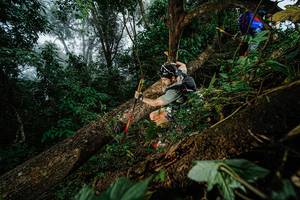 BIB: 
                            <button type="button" onclick="openModal(22775734)" class="btn btn-primary btn-sm float-right btn-popup" data-toggle="modal" data-target=".modal-high-quality">
                        <i class="fas fa-shopping-cart"></i> Add to Cart
                    </button>
                                            <button type="button" onclick="isThisMe(22775734, true)" class="btn btn-success btn-sm float-right btn-popup btn-isme hidden" data-toggle="tooltip" data-placement="bottom" title="นี่คือรูปของคุณใช่ไหม คลิกที่นี่เพื่อเอาเข้าอัลบั้ม">
                        <i class="fas fa-plus"></i> Add to album
                    </button>
                    <button type="button" onclick="isThisMe(22775734, false)" class="btn btn-warning btn-sm float-right btn-popup btn-isnotme hidden">
                        <i class="fas fa-ban"></i> Remove from album
                    </button>