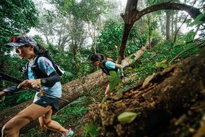 BIB: 
                            <button type="button" onclick="openModal(22779034)" class="btn btn-primary btn-sm float-right btn-popup" data-toggle="modal" data-target=".modal-high-quality">
                        <i class="fas fa-shopping-cart"></i> Add to Cart
                    </button>
                                            <button type="button" onclick="isThisMe(22779034, true)" class="btn btn-success btn-sm float-right btn-popup btn-isme hidden" data-toggle="tooltip" data-placement="bottom" title="นี่คือรูปของคุณใช่ไหม คลิกที่นี่เพื่อเอาเข้าอัลบั้ม">
                        <i class="fas fa-plus"></i> Add to album
                    </button>
                    <button type="button" onclick="isThisMe(22779034, false)" class="btn btn-warning btn-sm float-right btn-popup btn-isnotme hidden">
                        <i class="fas fa-ban"></i> Remove from album
                    </button>