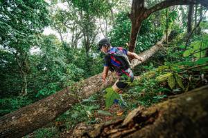 BIB: 
                            <button type="button" onclick="openModal(22778534)" class="btn btn-primary btn-sm float-right btn-popup" data-toggle="modal" data-target=".modal-high-quality">
                        <i class="fas fa-shopping-cart"></i> Add to Cart
                    </button>
                                            <button type="button" onclick="isThisMe(22778534, true)" class="btn btn-success btn-sm float-right btn-popup btn-isme hidden" data-toggle="tooltip" data-placement="bottom" title="นี่คือรูปของคุณใช่ไหม คลิกที่นี่เพื่อเอาเข้าอัลบั้ม">
                        <i class="fas fa-plus"></i> Add to album
                    </button>
                    <button type="button" onclick="isThisMe(22778534, false)" class="btn btn-warning btn-sm float-right btn-popup btn-isnotme hidden">
                        <i class="fas fa-ban"></i> Remove from album
                    </button>