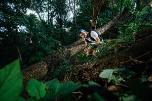 BIB: 
                            <button type="button" onclick="openModal(22776973)" class="btn btn-primary btn-sm float-right btn-popup" data-toggle="modal" data-target=".modal-high-quality">
                        <i class="fas fa-shopping-cart"></i> Add to Cart
                    </button>
                                            <button type="button" onclick="isThisMe(22776973, true)" class="btn btn-success btn-sm float-right btn-popup btn-isme hidden" data-toggle="tooltip" data-placement="bottom" title="นี่คือรูปของคุณใช่ไหม คลิกที่นี่เพื่อเอาเข้าอัลบั้ม">
                        <i class="fas fa-plus"></i> Add to album
                    </button>
                    <button type="button" onclick="isThisMe(22776973, false)" class="btn btn-warning btn-sm float-right btn-popup btn-isnotme hidden">
                        <i class="fas fa-ban"></i> Remove from album
                    </button>