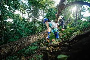 BIB: 
                            <button type="button" onclick="openModal(22777793)" class="btn btn-primary btn-sm float-right btn-popup" data-toggle="modal" data-target=".modal-high-quality">
                        <i class="fas fa-shopping-cart"></i> Add to Cart
                    </button>
                                            <button type="button" onclick="isThisMe(22777793, true)" class="btn btn-success btn-sm float-right btn-popup btn-isme hidden" data-toggle="tooltip" data-placement="bottom" title="นี่คือรูปของคุณใช่ไหม คลิกที่นี่เพื่อเอาเข้าอัลบั้ม">
                        <i class="fas fa-plus"></i> Add to album
                    </button>
                    <button type="button" onclick="isThisMe(22777793, false)" class="btn btn-warning btn-sm float-right btn-popup btn-isnotme hidden">
                        <i class="fas fa-ban"></i> Remove from album
                    </button>