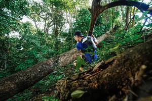 BIB: 
                            <button type="button" onclick="openModal(22778453)" class="btn btn-primary btn-sm float-right btn-popup" data-toggle="modal" data-target=".modal-high-quality">
                        <i class="fas fa-shopping-cart"></i> Add to Cart
                    </button>
                                            <button type="button" onclick="isThisMe(22778453, true)" class="btn btn-success btn-sm float-right btn-popup btn-isme hidden" data-toggle="tooltip" data-placement="bottom" title="นี่คือรูปของคุณใช่ไหม คลิกที่นี่เพื่อเอาเข้าอัลบั้ม">
                        <i class="fas fa-plus"></i> Add to album
                    </button>
                    <button type="button" onclick="isThisMe(22778453, false)" class="btn btn-warning btn-sm float-right btn-popup btn-isnotme hidden">
                        <i class="fas fa-ban"></i> Remove from album
                    </button>