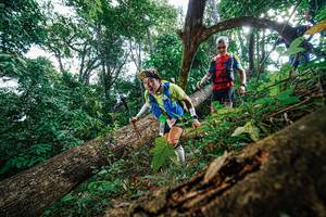 BIB: 
                            <button type="button" onclick="openModal(22778070)" class="btn btn-primary btn-sm float-right btn-popup" data-toggle="modal" data-target=".modal-high-quality">
                        <i class="fas fa-shopping-cart"></i> Add to Cart
                    </button>
                                            <button type="button" onclick="isThisMe(22778070, true)" class="btn btn-success btn-sm float-right btn-popup btn-isme hidden" data-toggle="tooltip" data-placement="bottom" title="นี่คือรูปของคุณใช่ไหม คลิกที่นี่เพื่อเอาเข้าอัลบั้ม">
                        <i class="fas fa-plus"></i> Add to album
                    </button>
                    <button type="button" onclick="isThisMe(22778070, false)" class="btn btn-warning btn-sm float-right btn-popup btn-isnotme hidden">
                        <i class="fas fa-ban"></i> Remove from album
                    </button>