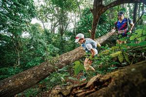 BIB: 6418
                            <button type="button" onclick="openModal(22778531)" class="btn btn-primary btn-sm float-right btn-popup" data-toggle="modal" data-target=".modal-high-quality">
                        <i class="fas fa-shopping-cart"></i> Add to Cart
                    </button>
                                            <button type="button" onclick="isThisMe(22778531, true)" class="btn btn-success btn-sm float-right btn-popup btn-isme hidden" data-toggle="tooltip" data-placement="bottom" title="นี่คือรูปของคุณใช่ไหม คลิกที่นี่เพื่อเอาเข้าอัลบั้ม">
                        <i class="fas fa-plus"></i> Add to album
                    </button>
                    <button type="button" onclick="isThisMe(22778531, false)" class="btn btn-warning btn-sm float-right btn-popup btn-isnotme hidden">
                        <i class="fas fa-ban"></i> Remove from album
                    </button>