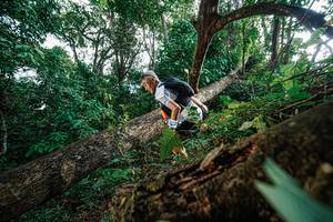 BIB: 
                            <button type="button" onclick="openModal(22778244)" class="btn btn-primary btn-sm float-right btn-popup" data-toggle="modal" data-target=".modal-high-quality">
                        <i class="fas fa-shopping-cart"></i> Add to Cart
                    </button>
                                            <button type="button" onclick="isThisMe(22778244, true)" class="btn btn-success btn-sm float-right btn-popup btn-isme hidden" data-toggle="tooltip" data-placement="bottom" title="นี่คือรูปของคุณใช่ไหม คลิกที่นี่เพื่อเอาเข้าอัลบั้ม">
                        <i class="fas fa-plus"></i> Add to album
                    </button>
                    <button type="button" onclick="isThisMe(22778244, false)" class="btn btn-warning btn-sm float-right btn-popup btn-isnotme hidden">
                        <i class="fas fa-ban"></i> Remove from album
                    </button>