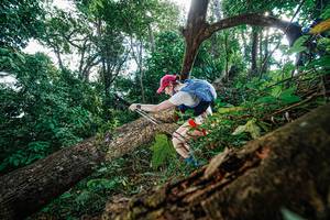 BIB: 
                            <button type="button" onclick="openModal(22778087)" class="btn btn-primary btn-sm float-right btn-popup" data-toggle="modal" data-target=".modal-high-quality">
                        <i class="fas fa-shopping-cart"></i> Add to Cart
                    </button>
                                            <button type="button" onclick="isThisMe(22778087, true)" class="btn btn-success btn-sm float-right btn-popup btn-isme hidden" data-toggle="tooltip" data-placement="bottom" title="นี่คือรูปของคุณใช่ไหม คลิกที่นี่เพื่อเอาเข้าอัลบั้ม">
                        <i class="fas fa-plus"></i> Add to album
                    </button>
                    <button type="button" onclick="isThisMe(22778087, false)" class="btn btn-warning btn-sm float-right btn-popup btn-isnotme hidden">
                        <i class="fas fa-ban"></i> Remove from album
                    </button>