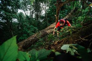 BIB: 
                            <button type="button" onclick="openModal(22776877)" class="btn btn-primary btn-sm float-right btn-popup" data-toggle="modal" data-target=".modal-high-quality">
                        <i class="fas fa-shopping-cart"></i> Add to Cart
                    </button>
                                            <button type="button" onclick="isThisMe(22776877, true)" class="btn btn-success btn-sm float-right btn-popup btn-isme hidden" data-toggle="tooltip" data-placement="bottom" title="นี่คือรูปของคุณใช่ไหม คลิกที่นี่เพื่อเอาเข้าอัลบั้ม">
                        <i class="fas fa-plus"></i> Add to album
                    </button>
                    <button type="button" onclick="isThisMe(22776877, false)" class="btn btn-warning btn-sm float-right btn-popup btn-isnotme hidden">
                        <i class="fas fa-ban"></i> Remove from album
                    </button>