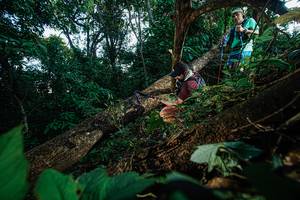 BIB: 
                            <button type="button" onclick="openModal(22777054)" class="btn btn-primary btn-sm float-right btn-popup" data-toggle="modal" data-target=".modal-high-quality">
                        <i class="fas fa-shopping-cart"></i> Add to Cart
                    </button>
                                            <button type="button" onclick="isThisMe(22777054, true)" class="btn btn-success btn-sm float-right btn-popup btn-isme hidden" data-toggle="tooltip" data-placement="bottom" title="นี่คือรูปของคุณใช่ไหม คลิกที่นี่เพื่อเอาเข้าอัลบั้ม">
                        <i class="fas fa-plus"></i> Add to album
                    </button>
                    <button type="button" onclick="isThisMe(22777054, false)" class="btn btn-warning btn-sm float-right btn-popup btn-isnotme hidden">
                        <i class="fas fa-ban"></i> Remove from album
                    </button>