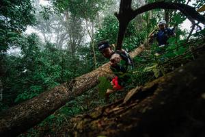 BIB: 
                            <button type="button" onclick="openModal(22779164)" class="btn btn-primary btn-sm float-right btn-popup" data-toggle="modal" data-target=".modal-high-quality">
                        <i class="fas fa-shopping-cart"></i> Add to Cart
                    </button>
                                            <button type="button" onclick="isThisMe(22779164, true)" class="btn btn-success btn-sm float-right btn-popup btn-isme hidden" data-toggle="tooltip" data-placement="bottom" title="นี่คือรูปของคุณใช่ไหม คลิกที่นี่เพื่อเอาเข้าอัลบั้ม">
                        <i class="fas fa-plus"></i> Add to album
                    </button>
                    <button type="button" onclick="isThisMe(22779164, false)" class="btn btn-warning btn-sm float-right btn-popup btn-isnotme hidden">
                        <i class="fas fa-ban"></i> Remove from album
                    </button>