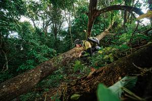 BIB: 
                            <button type="button" onclick="openModal(22777419)" class="btn btn-primary btn-sm float-right btn-popup" data-toggle="modal" data-target=".modal-high-quality">
                        <i class="fas fa-shopping-cart"></i> Add to Cart
                    </button>
                                            <button type="button" onclick="isThisMe(22777419, true)" class="btn btn-success btn-sm float-right btn-popup btn-isme hidden" data-toggle="tooltip" data-placement="bottom" title="นี่คือรูปของคุณใช่ไหม คลิกที่นี่เพื่อเอาเข้าอัลบั้ม">
                        <i class="fas fa-plus"></i> Add to album
                    </button>
                    <button type="button" onclick="isThisMe(22777419, false)" class="btn btn-warning btn-sm float-right btn-popup btn-isnotme hidden">
                        <i class="fas fa-ban"></i> Remove from album
                    </button>