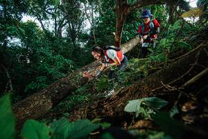 BIB: 
                            <button type="button" onclick="openModal(22777168)" class="btn btn-primary btn-sm float-right btn-popup" data-toggle="modal" data-target=".modal-high-quality">
                        <i class="fas fa-shopping-cart"></i> Add to Cart
                    </button>
                                            <button type="button" onclick="isThisMe(22777168, true)" class="btn btn-success btn-sm float-right btn-popup btn-isme hidden" data-toggle="tooltip" data-placement="bottom" title="นี่คือรูปของคุณใช่ไหม คลิกที่นี่เพื่อเอาเข้าอัลบั้ม">
                        <i class="fas fa-plus"></i> Add to album
                    </button>
                    <button type="button" onclick="isThisMe(22777168, false)" class="btn btn-warning btn-sm float-right btn-popup btn-isnotme hidden">
                        <i class="fas fa-ban"></i> Remove from album
                    </button>