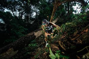 BIB: 
                            <button type="button" onclick="openModal(22774765)" class="btn btn-primary btn-sm float-right btn-popup" data-toggle="modal" data-target=".modal-high-quality">
                        <i class="fas fa-shopping-cart"></i> Add to Cart
                    </button>
                                            <button type="button" onclick="isThisMe(22774765, true)" class="btn btn-success btn-sm float-right btn-popup btn-isme hidden" data-toggle="tooltip" data-placement="bottom" title="นี่คือรูปของคุณใช่ไหม คลิกที่นี่เพื่อเอาเข้าอัลบั้ม">
                        <i class="fas fa-plus"></i> Add to album
                    </button>
                    <button type="button" onclick="isThisMe(22774765, false)" class="btn btn-warning btn-sm float-right btn-popup btn-isnotme hidden">
                        <i class="fas fa-ban"></i> Remove from album
                    </button>