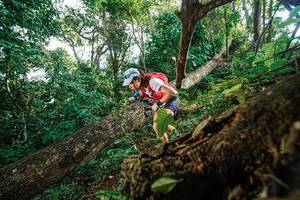 BIB: 
                            <button type="button" onclick="openModal(22778423)" class="btn btn-primary btn-sm float-right btn-popup" data-toggle="modal" data-target=".modal-high-quality">
                        <i class="fas fa-shopping-cart"></i> Add to Cart
                    </button>
                                            <button type="button" onclick="isThisMe(22778423, true)" class="btn btn-success btn-sm float-right btn-popup btn-isme hidden" data-toggle="tooltip" data-placement="bottom" title="นี่คือรูปของคุณใช่ไหม คลิกที่นี่เพื่อเอาเข้าอัลบั้ม">
                        <i class="fas fa-plus"></i> Add to album
                    </button>
                    <button type="button" onclick="isThisMe(22778423, false)" class="btn btn-warning btn-sm float-right btn-popup btn-isnotme hidden">
                        <i class="fas fa-ban"></i> Remove from album
                    </button>