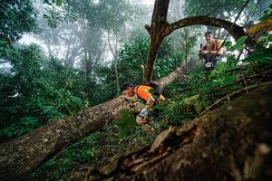 BIB: 
                            <button type="button" onclick="openModal(22778727)" class="btn btn-primary btn-sm float-right btn-popup" data-toggle="modal" data-target=".modal-high-quality">
                        <i class="fas fa-shopping-cart"></i> Add to Cart
                    </button>
                                            <button type="button" onclick="isThisMe(22778727, true)" class="btn btn-success btn-sm float-right btn-popup btn-isme hidden" data-toggle="tooltip" data-placement="bottom" title="นี่คือรูปของคุณใช่ไหม คลิกที่นี่เพื่อเอาเข้าอัลบั้ม">
                        <i class="fas fa-plus"></i> Add to album
                    </button>
                    <button type="button" onclick="isThisMe(22778727, false)" class="btn btn-warning btn-sm float-right btn-popup btn-isnotme hidden">
                        <i class="fas fa-ban"></i> Remove from album
                    </button>