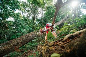 BIB: 
                            <button type="button" onclick="openModal(22777984)" class="btn btn-primary btn-sm float-right btn-popup" data-toggle="modal" data-target=".modal-high-quality">
                        <i class="fas fa-shopping-cart"></i> Add to Cart
                    </button>
                                            <button type="button" onclick="isThisMe(22777984, true)" class="btn btn-success btn-sm float-right btn-popup btn-isme hidden" data-toggle="tooltip" data-placement="bottom" title="นี่คือรูปของคุณใช่ไหม คลิกที่นี่เพื่อเอาเข้าอัลบั้ม">
                        <i class="fas fa-plus"></i> Add to album
                    </button>
                    <button type="button" onclick="isThisMe(22777984, false)" class="btn btn-warning btn-sm float-right btn-popup btn-isnotme hidden">
                        <i class="fas fa-ban"></i> Remove from album
                    </button>