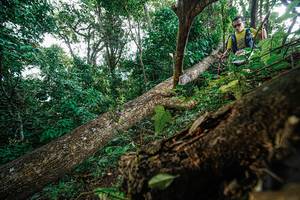 BIB: 
                            <button type="button" onclick="openModal(22778430)" class="btn btn-primary btn-sm float-right btn-popup" data-toggle="modal" data-target=".modal-high-quality">
                        <i class="fas fa-shopping-cart"></i> Add to Cart
                    </button>
                                            <button type="button" onclick="isThisMe(22778430, true)" class="btn btn-success btn-sm float-right btn-popup btn-isme hidden" data-toggle="tooltip" data-placement="bottom" title="นี่คือรูปของคุณใช่ไหม คลิกที่นี่เพื่อเอาเข้าอัลบั้ม">
                        <i class="fas fa-plus"></i> Add to album
                    </button>
                    <button type="button" onclick="isThisMe(22778430, false)" class="btn btn-warning btn-sm float-right btn-popup btn-isnotme hidden">
                        <i class="fas fa-ban"></i> Remove from album
                    </button>