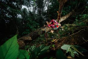 BIB: 
                            <button type="button" onclick="openModal(22776728)" class="btn btn-primary btn-sm float-right btn-popup" data-toggle="modal" data-target=".modal-high-quality">
                        <i class="fas fa-shopping-cart"></i> Add to Cart
                    </button>
                                            <button type="button" onclick="isThisMe(22776728, true)" class="btn btn-success btn-sm float-right btn-popup btn-isme hidden" data-toggle="tooltip" data-placement="bottom" title="นี่คือรูปของคุณใช่ไหม คลิกที่นี่เพื่อเอาเข้าอัลบั้ม">
                        <i class="fas fa-plus"></i> Add to album
                    </button>
                    <button type="button" onclick="isThisMe(22776728, false)" class="btn btn-warning btn-sm float-right btn-popup btn-isnotme hidden">
                        <i class="fas fa-ban"></i> Remove from album
                    </button>