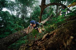 BIB: 
                            <button type="button" onclick="openModal(22778697)" class="btn btn-primary btn-sm float-right btn-popup" data-toggle="modal" data-target=".modal-high-quality">
                        <i class="fas fa-shopping-cart"></i> Add to Cart
                    </button>
                                            <button type="button" onclick="isThisMe(22778697, true)" class="btn btn-success btn-sm float-right btn-popup btn-isme hidden" data-toggle="tooltip" data-placement="bottom" title="นี่คือรูปของคุณใช่ไหม คลิกที่นี่เพื่อเอาเข้าอัลบั้ม">
                        <i class="fas fa-plus"></i> Add to album
                    </button>
                    <button type="button" onclick="isThisMe(22778697, false)" class="btn btn-warning btn-sm float-right btn-popup btn-isnotme hidden">
                        <i class="fas fa-ban"></i> Remove from album
                    </button>