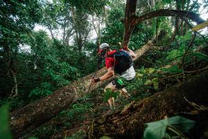 BIB: 
                            <button type="button" onclick="openModal(22777408)" class="btn btn-primary btn-sm float-right btn-popup" data-toggle="modal" data-target=".modal-high-quality">
                        <i class="fas fa-shopping-cart"></i> Add to Cart
                    </button>
                                            <button type="button" onclick="isThisMe(22777408, true)" class="btn btn-success btn-sm float-right btn-popup btn-isme hidden" data-toggle="tooltip" data-placement="bottom" title="นี่คือรูปของคุณใช่ไหม คลิกที่นี่เพื่อเอาเข้าอัลบั้ม">
                        <i class="fas fa-plus"></i> Add to album
                    </button>
                    <button type="button" onclick="isThisMe(22777408, false)" class="btn btn-warning btn-sm float-right btn-popup btn-isnotme hidden">
                        <i class="fas fa-ban"></i> Remove from album
                    </button>