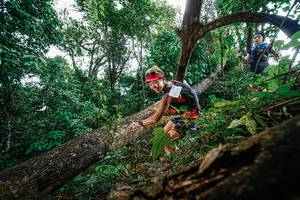 BIB: 
                            <button type="button" onclick="openModal(22778252)" class="btn btn-primary btn-sm float-right btn-popup" data-toggle="modal" data-target=".modal-high-quality">
                        <i class="fas fa-shopping-cart"></i> Add to Cart
                    </button>
                                            <button type="button" onclick="isThisMe(22778252, true)" class="btn btn-success btn-sm float-right btn-popup btn-isme hidden" data-toggle="tooltip" data-placement="bottom" title="นี่คือรูปของคุณใช่ไหม คลิกที่นี่เพื่อเอาเข้าอัลบั้ม">
                        <i class="fas fa-plus"></i> Add to album
                    </button>
                    <button type="button" onclick="isThisMe(22778252, false)" class="btn btn-warning btn-sm float-right btn-popup btn-isnotme hidden">
                        <i class="fas fa-ban"></i> Remove from album
                    </button>