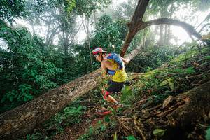 BIB: 
                            <button type="button" onclick="openModal(22777550)" class="btn btn-primary btn-sm float-right btn-popup" data-toggle="modal" data-target=".modal-high-quality">
                        <i class="fas fa-shopping-cart"></i> Add to Cart
                    </button>
                                            <button type="button" onclick="isThisMe(22777550, true)" class="btn btn-success btn-sm float-right btn-popup btn-isme hidden" data-toggle="tooltip" data-placement="bottom" title="นี่คือรูปของคุณใช่ไหม คลิกที่นี่เพื่อเอาเข้าอัลบั้ม">
                        <i class="fas fa-plus"></i> Add to album
                    </button>
                    <button type="button" onclick="isThisMe(22777550, false)" class="btn btn-warning btn-sm float-right btn-popup btn-isnotme hidden">
                        <i class="fas fa-ban"></i> Remove from album
                    </button>