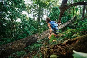 BIB: 
                            <button type="button" onclick="openModal(22777908)" class="btn btn-primary btn-sm float-right btn-popup" data-toggle="modal" data-target=".modal-high-quality">
                        <i class="fas fa-shopping-cart"></i> Add to Cart
                    </button>
                                            <button type="button" onclick="isThisMe(22777908, true)" class="btn btn-success btn-sm float-right btn-popup btn-isme hidden" data-toggle="tooltip" data-placement="bottom" title="นี่คือรูปของคุณใช่ไหม คลิกที่นี่เพื่อเอาเข้าอัลบั้ม">
                        <i class="fas fa-plus"></i> Add to album
                    </button>
                    <button type="button" onclick="isThisMe(22777908, false)" class="btn btn-warning btn-sm float-right btn-popup btn-isnotme hidden">
                        <i class="fas fa-ban"></i> Remove from album
                    </button>