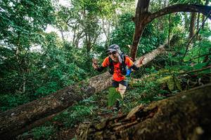 BIB: 
                            <button type="button" onclick="openModal(22778464)" class="btn btn-primary btn-sm float-right btn-popup" data-toggle="modal" data-target=".modal-high-quality">
                        <i class="fas fa-shopping-cart"></i> Add to Cart
                    </button>
                                            <button type="button" onclick="isThisMe(22778464, true)" class="btn btn-success btn-sm float-right btn-popup btn-isme hidden" data-toggle="tooltip" data-placement="bottom" title="นี่คือรูปของคุณใช่ไหม คลิกที่นี่เพื่อเอาเข้าอัลบั้ม">
                        <i class="fas fa-plus"></i> Add to album
                    </button>
                    <button type="button" onclick="isThisMe(22778464, false)" class="btn btn-warning btn-sm float-right btn-popup btn-isnotme hidden">
                        <i class="fas fa-ban"></i> Remove from album
                    </button>