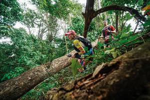 BIB: 
                            <button type="button" onclick="openModal(22779312)" class="btn btn-primary btn-sm float-right btn-popup" data-toggle="modal" data-target=".modal-high-quality">
                        <i class="fas fa-shopping-cart"></i> Add to Cart
                    </button>
                                            <button type="button" onclick="isThisMe(22779312, true)" class="btn btn-success btn-sm float-right btn-popup btn-isme hidden" data-toggle="tooltip" data-placement="bottom" title="นี่คือรูปของคุณใช่ไหม คลิกที่นี่เพื่อเอาเข้าอัลบั้ม">
                        <i class="fas fa-plus"></i> Add to album
                    </button>
                    <button type="button" onclick="isThisMe(22779312, false)" class="btn btn-warning btn-sm float-right btn-popup btn-isnotme hidden">
                        <i class="fas fa-ban"></i> Remove from album
                    </button>