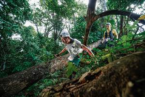 BIB: 
                            <button type="button" onclick="openModal(22778555)" class="btn btn-primary btn-sm float-right btn-popup" data-toggle="modal" data-target=".modal-high-quality">
                        <i class="fas fa-shopping-cart"></i> Add to Cart
                    </button>
                                            <button type="button" onclick="isThisMe(22778555, true)" class="btn btn-success btn-sm float-right btn-popup btn-isme hidden" data-toggle="tooltip" data-placement="bottom" title="นี่คือรูปของคุณใช่ไหม คลิกที่นี่เพื่อเอาเข้าอัลบั้ม">
                        <i class="fas fa-plus"></i> Add to album
                    </button>
                    <button type="button" onclick="isThisMe(22778555, false)" class="btn btn-warning btn-sm float-right btn-popup btn-isnotme hidden">
                        <i class="fas fa-ban"></i> Remove from album
                    </button>