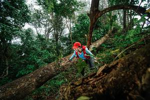 BIB: 
                            <button type="button" onclick="openModal(22779092)" class="btn btn-primary btn-sm float-right btn-popup" data-toggle="modal" data-target=".modal-high-quality">
                        <i class="fas fa-shopping-cart"></i> Add to Cart
                    </button>
                                            <button type="button" onclick="isThisMe(22779092, true)" class="btn btn-success btn-sm float-right btn-popup btn-isme hidden" data-toggle="tooltip" data-placement="bottom" title="นี่คือรูปของคุณใช่ไหม คลิกที่นี่เพื่อเอาเข้าอัลบั้ม">
                        <i class="fas fa-plus"></i> Add to album
                    </button>
                    <button type="button" onclick="isThisMe(22779092, false)" class="btn btn-warning btn-sm float-right btn-popup btn-isnotme hidden">
                        <i class="fas fa-ban"></i> Remove from album
                    </button>