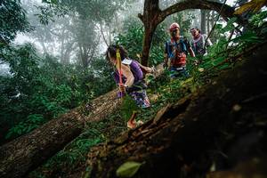 BIB: 
                            <button type="button" onclick="openModal(22779138)" class="btn btn-primary btn-sm float-right btn-popup" data-toggle="modal" data-target=".modal-high-quality">
                        <i class="fas fa-shopping-cart"></i> Add to Cart
                    </button>
                                            <button type="button" onclick="isThisMe(22779138, true)" class="btn btn-success btn-sm float-right btn-popup btn-isme hidden" data-toggle="tooltip" data-placement="bottom" title="นี่คือรูปของคุณใช่ไหม คลิกที่นี่เพื่อเอาเข้าอัลบั้ม">
                        <i class="fas fa-plus"></i> Add to album
                    </button>
                    <button type="button" onclick="isThisMe(22779138, false)" class="btn btn-warning btn-sm float-right btn-popup btn-isnotme hidden">
                        <i class="fas fa-ban"></i> Remove from album
                    </button>